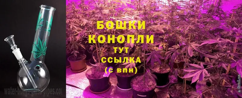 Бошки Шишки SATIVA & INDICA  Александровск-Сахалинский 